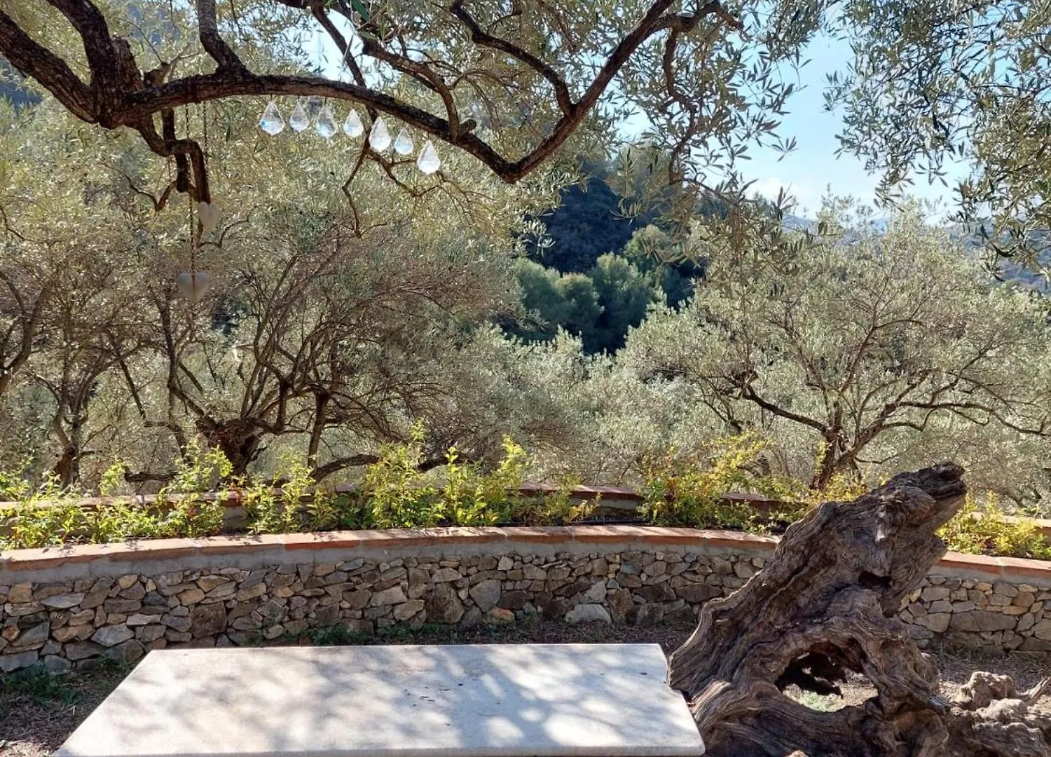 Susurros De Montana Villa Frigiliana