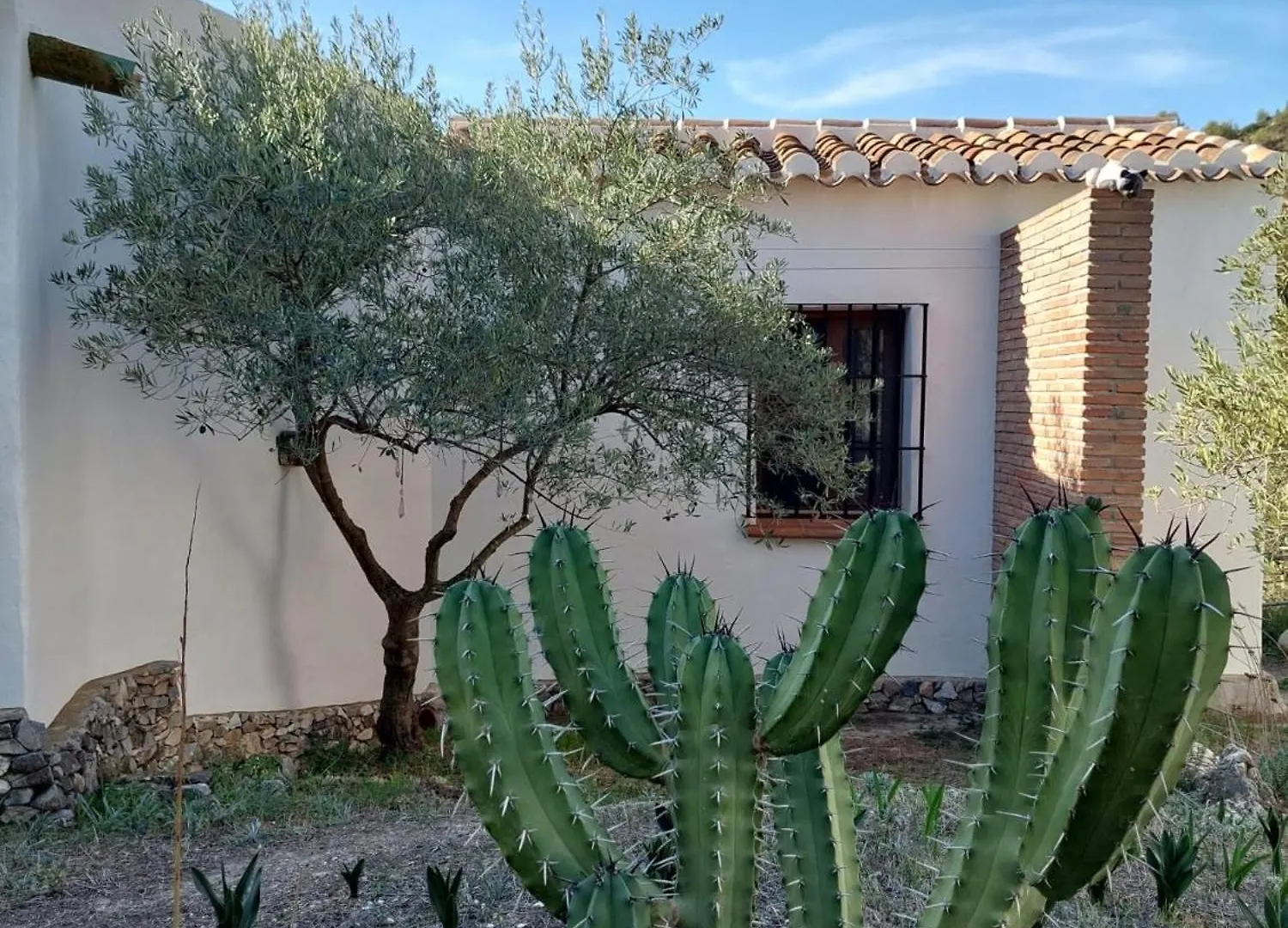 Susurros De Montana Villa Frigiliana