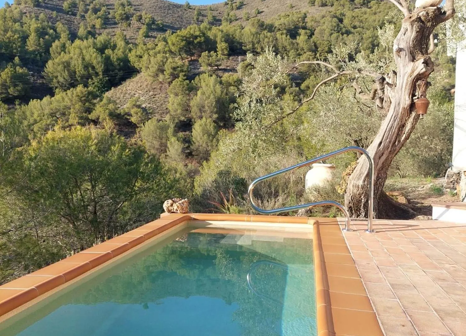 Susurros De Montana Villa Frigiliana