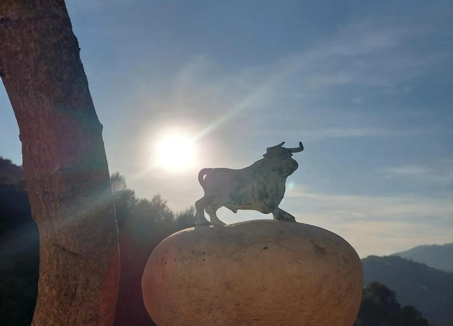 Susurros De Montana Villa Frigiliana